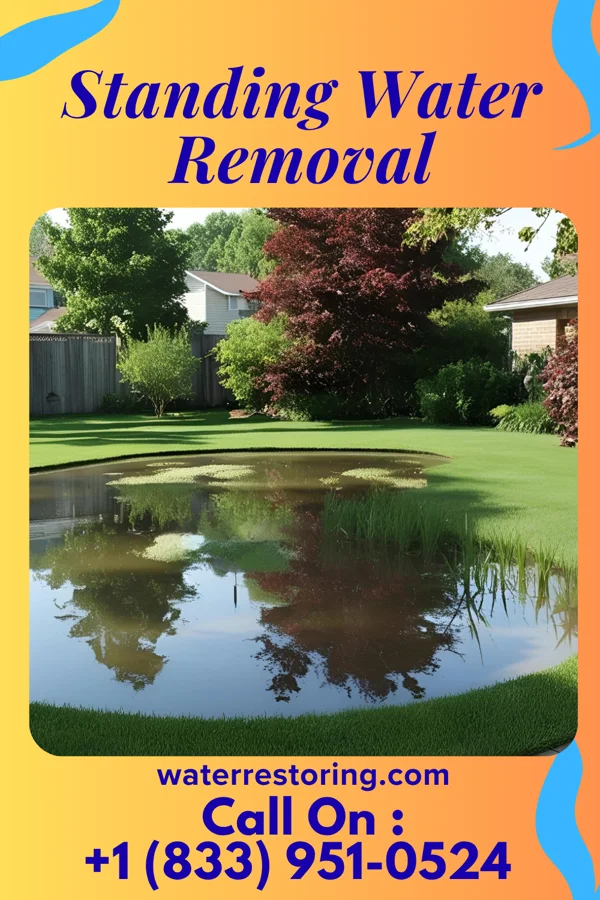 Standing Water Removal in Moapa Town, NV